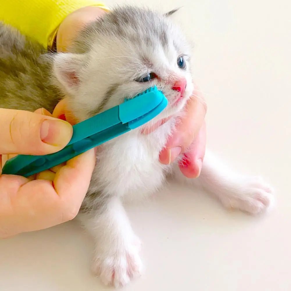 Brosse pour Chat - CatEyeWipe™ - Bleu - ENTREPÔT DU CHAT