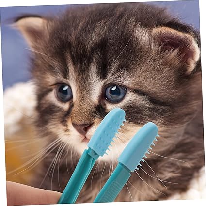 Brosse pour Chat - CatEyeWipe™ - Bleu - ENTREPÔT DU CHAT
