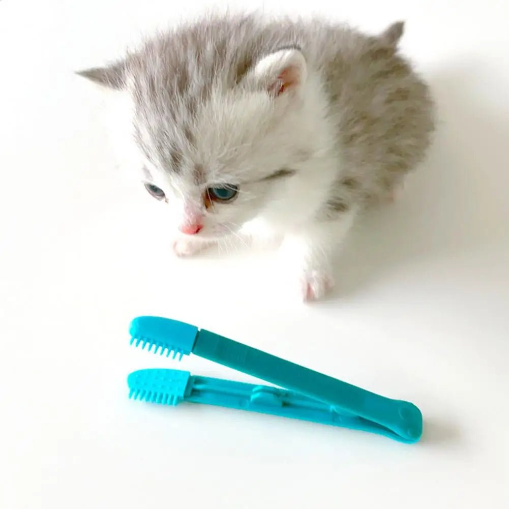 Brosse pour Chat - CatEyeWipe™ - Bleu - ENTREPÔT DU CHAT