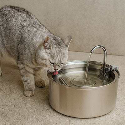 le chat buvant dans sa fontaine a eau chat silencieuse en acier inoxydable argent brossé