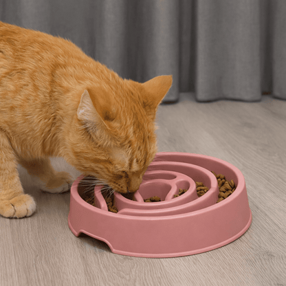 un chat mangent lentement dans gamelle anti glouton rose