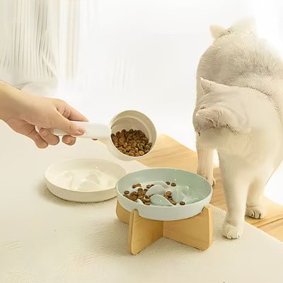 un maître remplit la gamelle anti glouton surélevée avec les croquettes et chat regarde