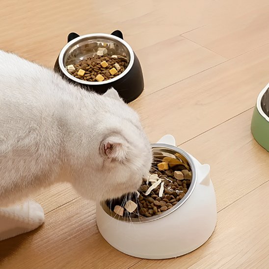 un chat mange dans sa gamelle chat inclinée pour une meilleure digestion cutycat 