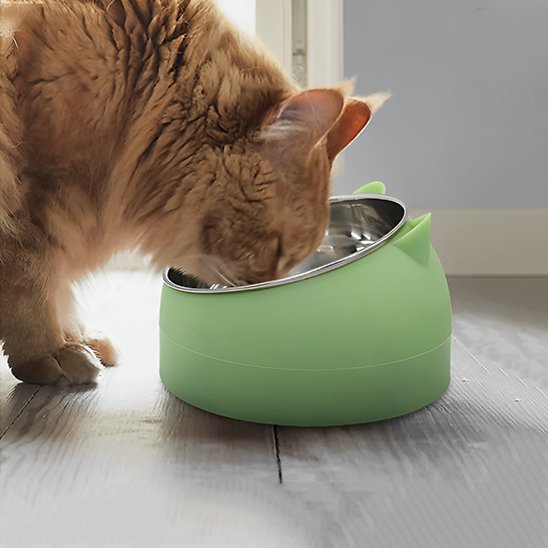 Un chat boit dans sa gamelle chat à grande capacité cutycat