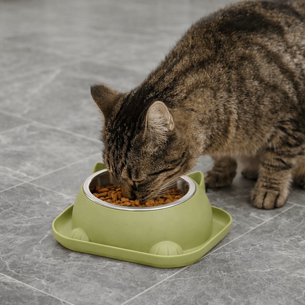gamelle chat anti-débordement avec chat mangeant les croquettes 