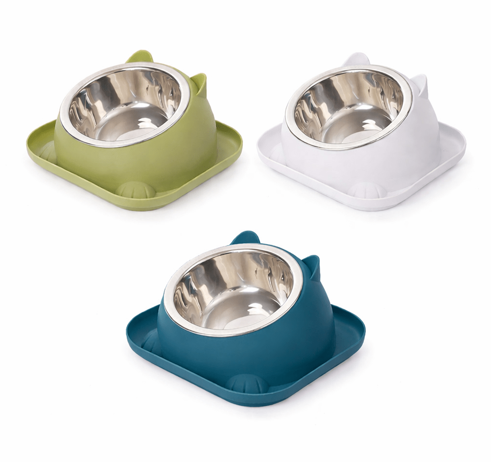 gamelle chat démontrant les trois couleurs blanc vert teal