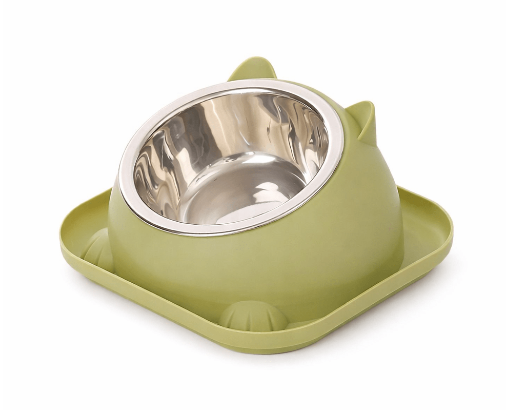 gamelle chat beau vert