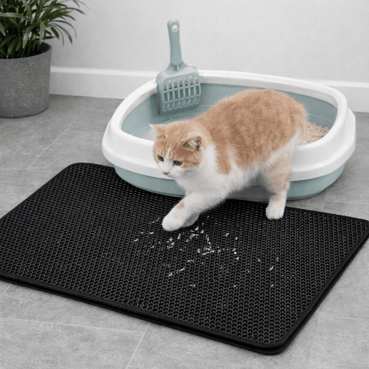 le tapis chat litière retient les grains sous les pattes du chat sortant de son bac à litière chat