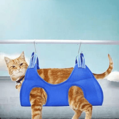 Toilettage Chat - GroomHamac™ - Bleu - ENTREPÔT DU CHAT