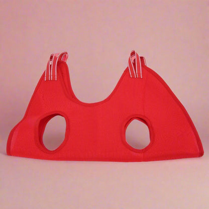 Toilettage Chat - GroomHamac™ - Rouge - ENTREPÔT DU CHAT